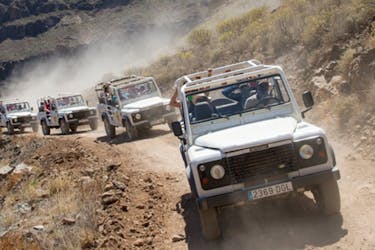 Tour safari in jeep a Gran Canaria